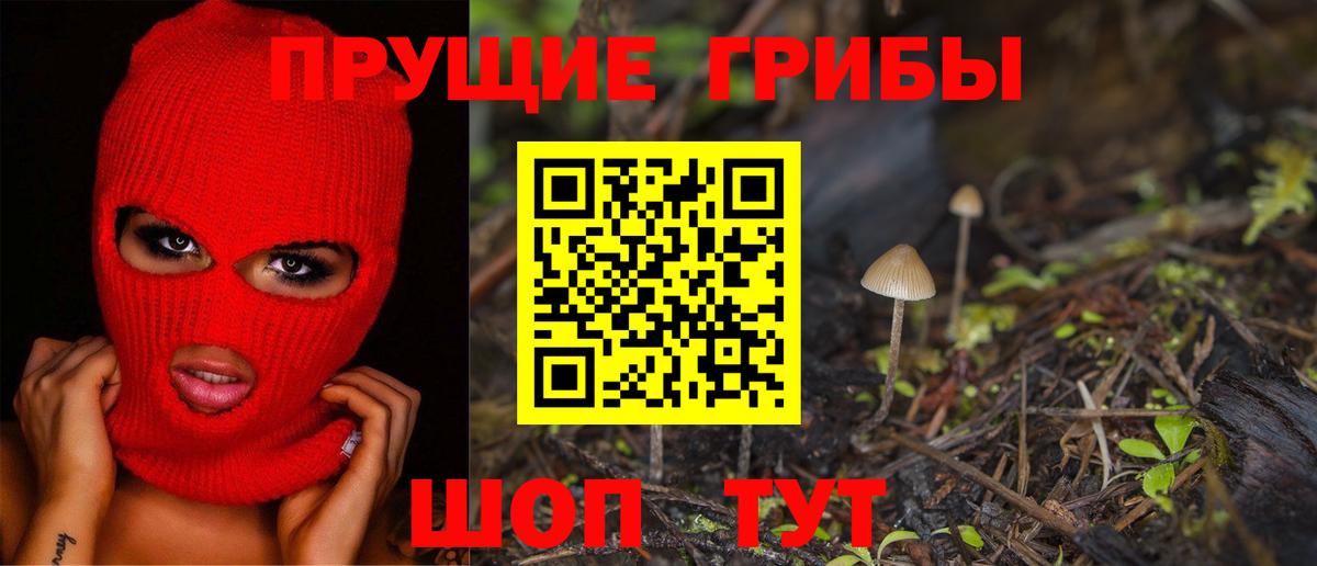 Острогожск  Галлюциногенные грибы Magic Shrooms  Вход с VPN 