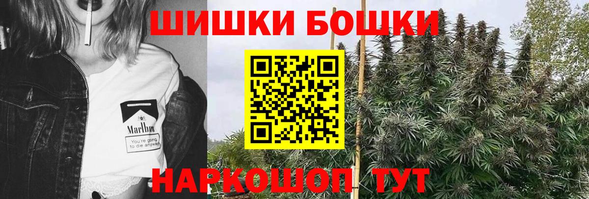 Бошки Шишки планчик Острогожск